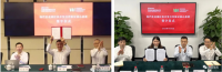 中國寶武，究竟儲備了多少鐵礦？